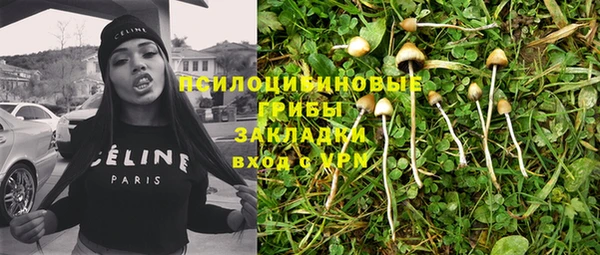 хмурый Арсеньев