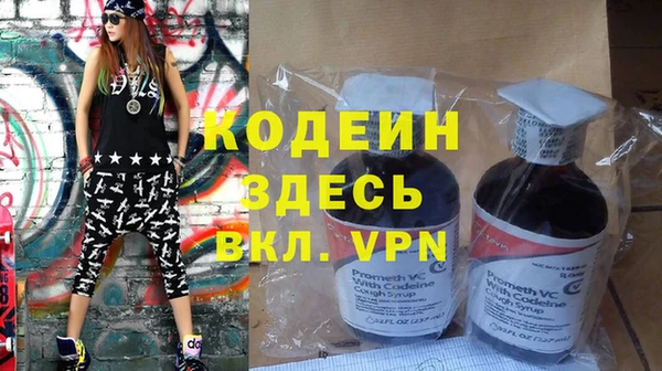 хмурый Арсеньев