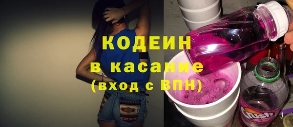 хмурый Арсеньев