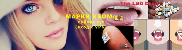 хмурый Арсеньев
