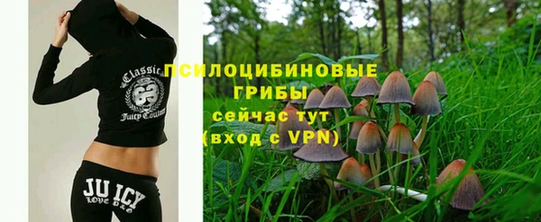 хмурый Арсеньев