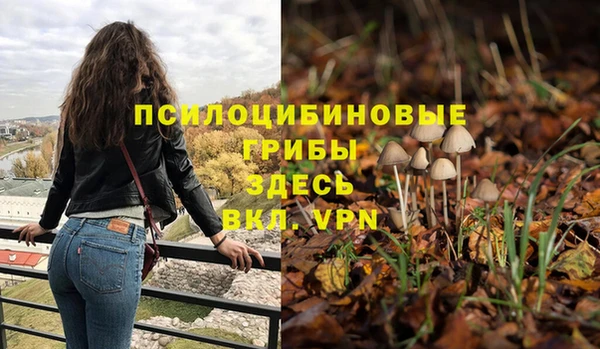 хмурый Арсеньев