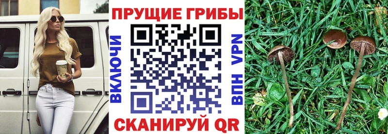 Галлюциногенные грибы Magic Shrooms Калачинск